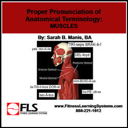 Proper Pronunciation of Anatomical Terminology: Muscles Image