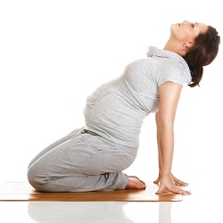 A Modern Approach to Exercise During Pregnancy Image