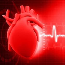 Heart Rate-Based Training for All Applications Image